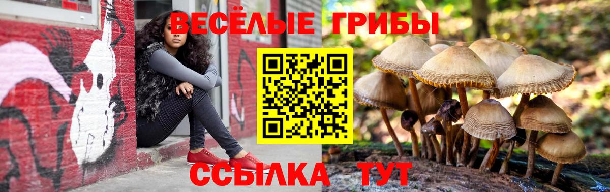 Псилоцибиновые грибы Psilocybine cubensis  Вход с VPN  Гуково 